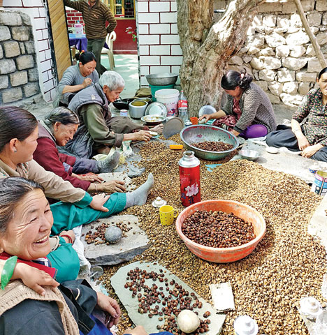 food-in-ladakh