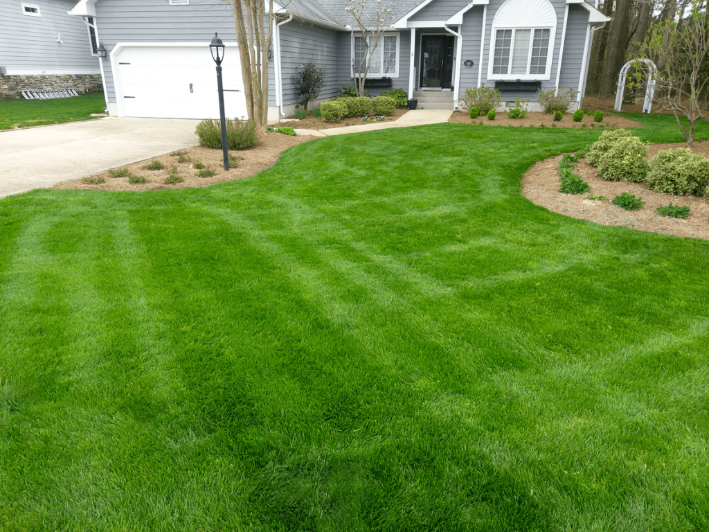 Enhance beauty of your Lawn landscape