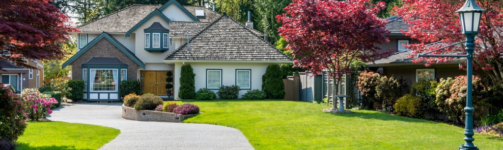 Lawn Care and maintenance Tips