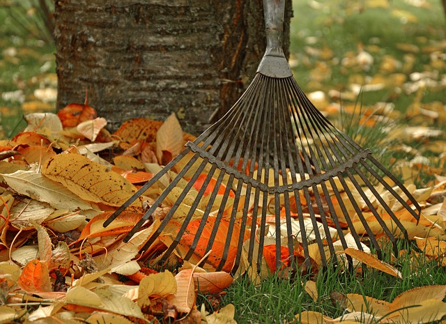 Leaf Rake