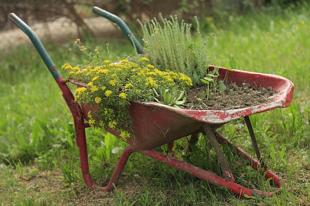 Wheelbarrow