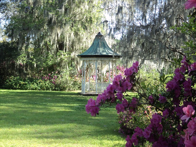 The Seating Area 