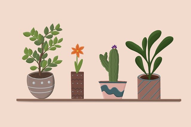 plants