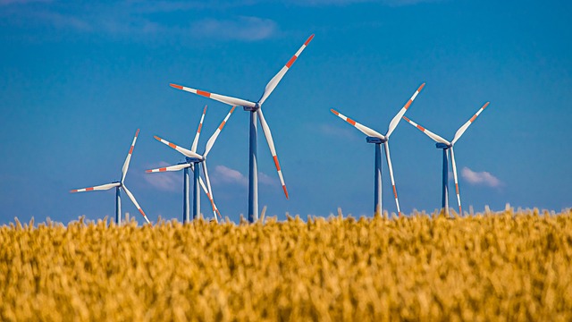 windmill turbines