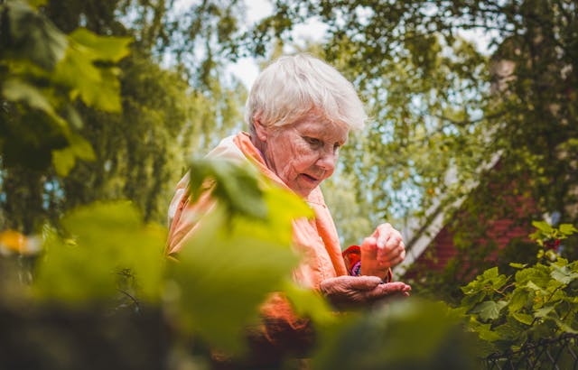 Keep Seniors Safe