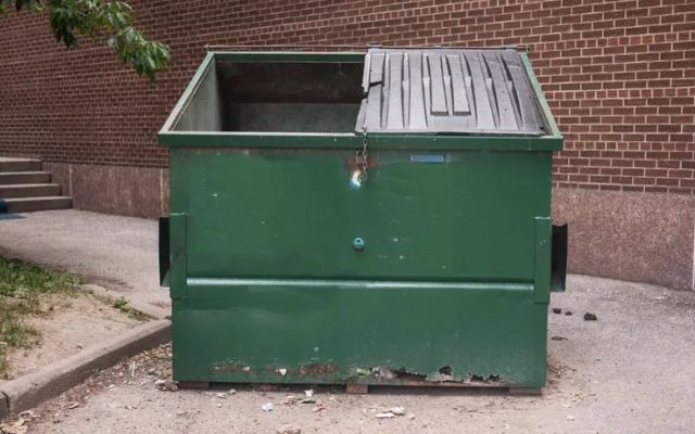 Dumpster rental