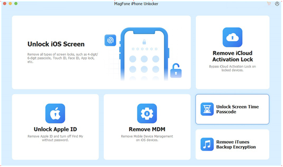 install the MagFone software